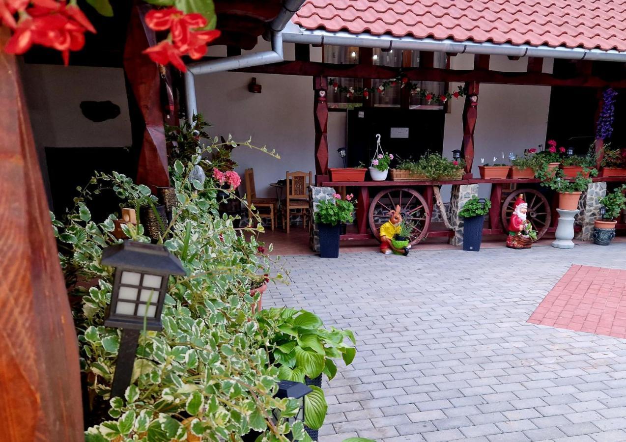Mehadica House 빌라 외부 사진